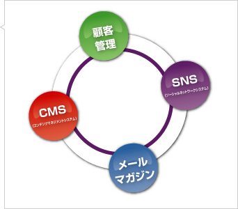 �V�X�e���J��